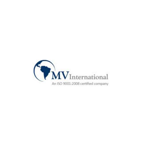 Mv International Industrial Oven