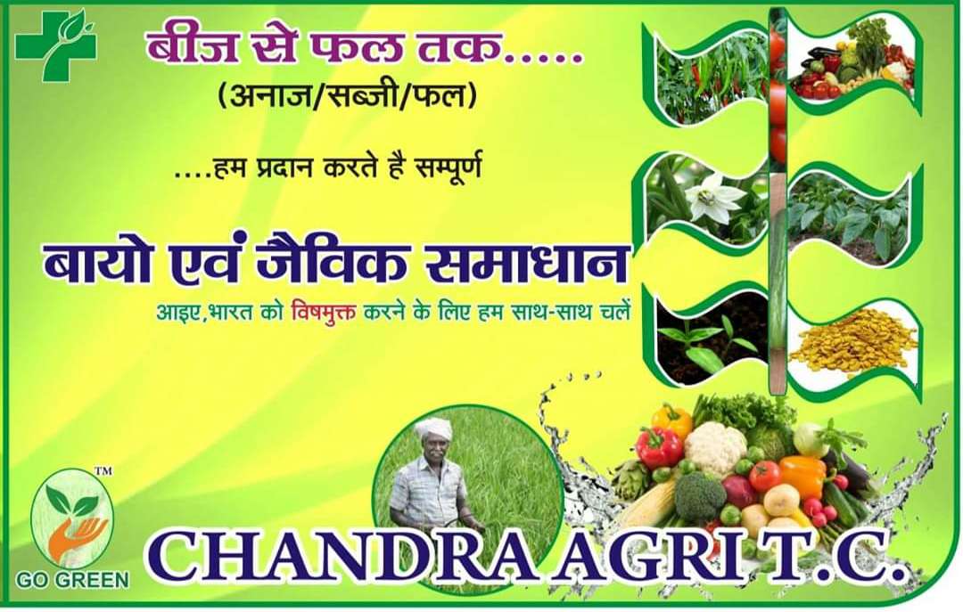 Chandra Agri T.c.