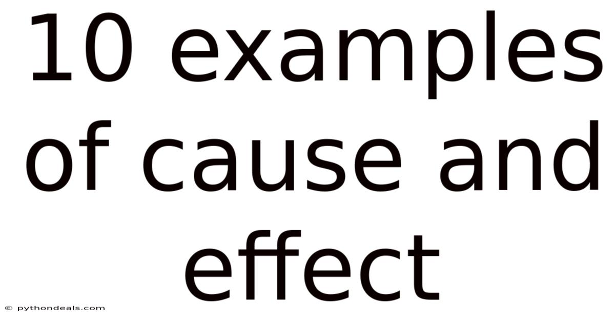 10 Examples Of Cause And Effect