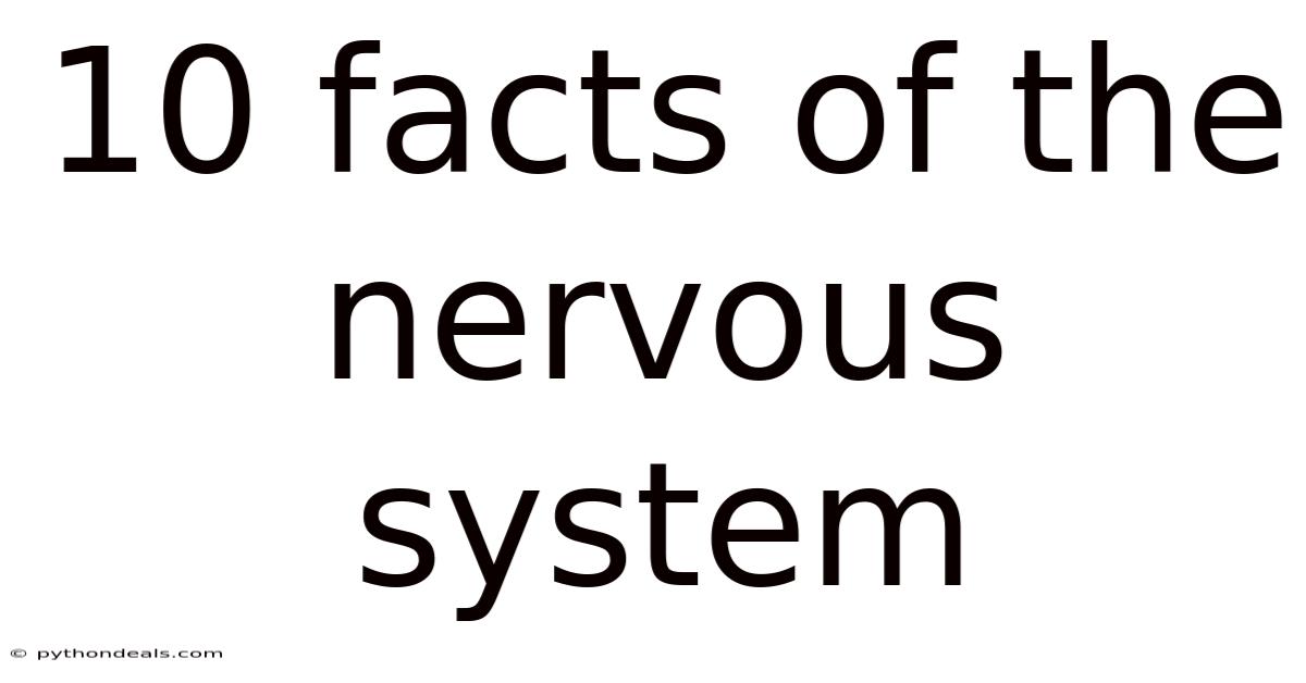 10 Facts Of The Nervous System