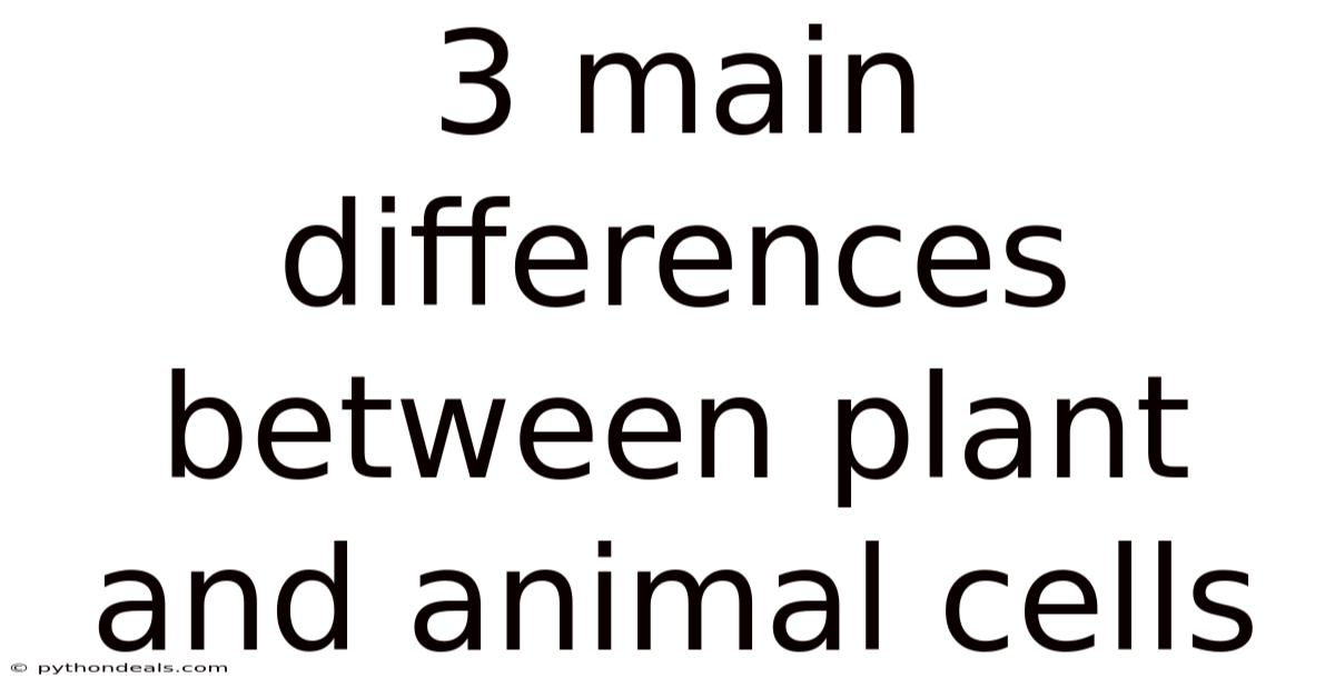 3 Main Differences Between Plant And Animal Cells