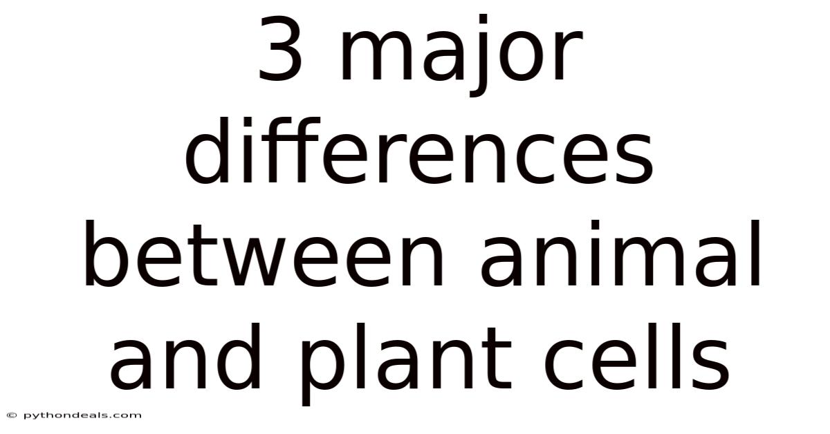 3 Major Differences Between Animal And Plant Cells