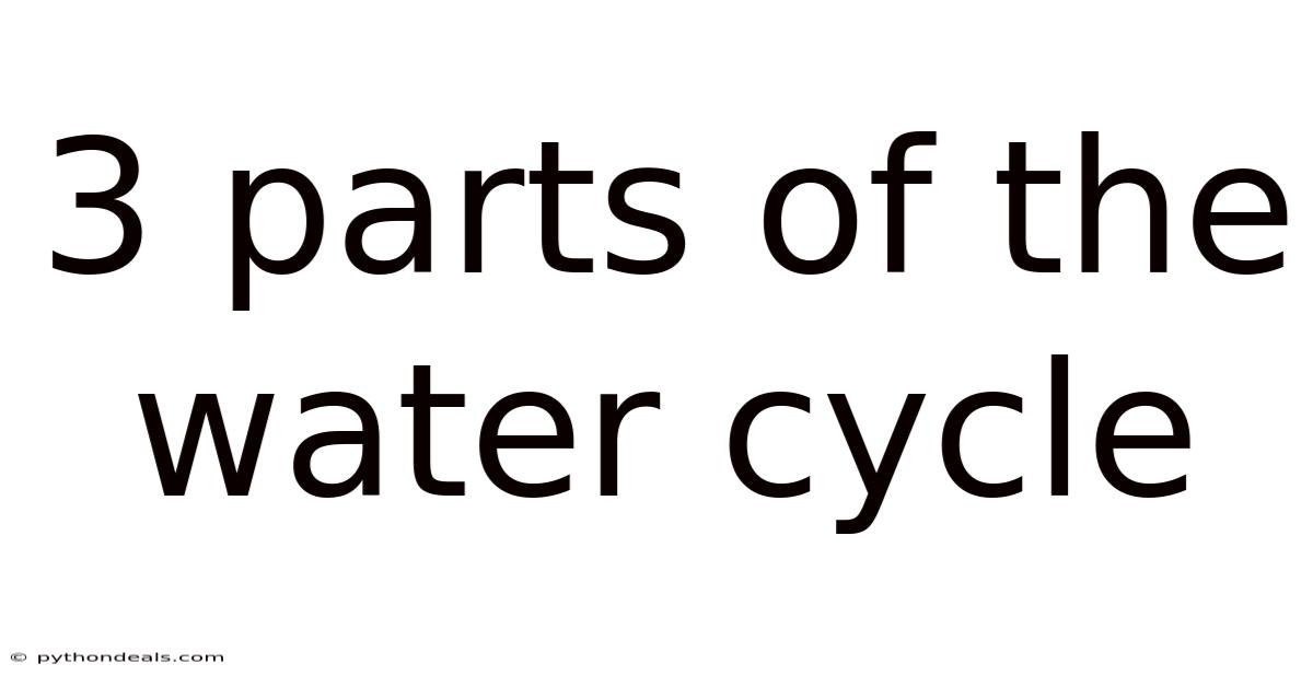 3 Parts Of The Water Cycle
