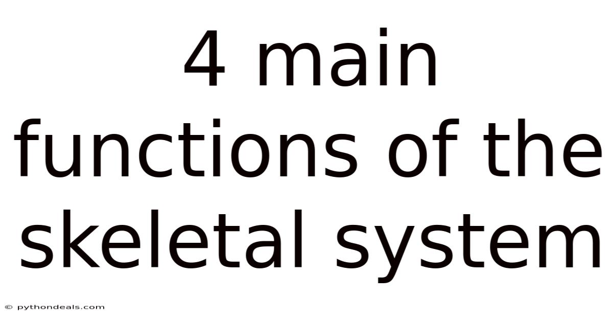 4 Main Functions Of The Skeletal System