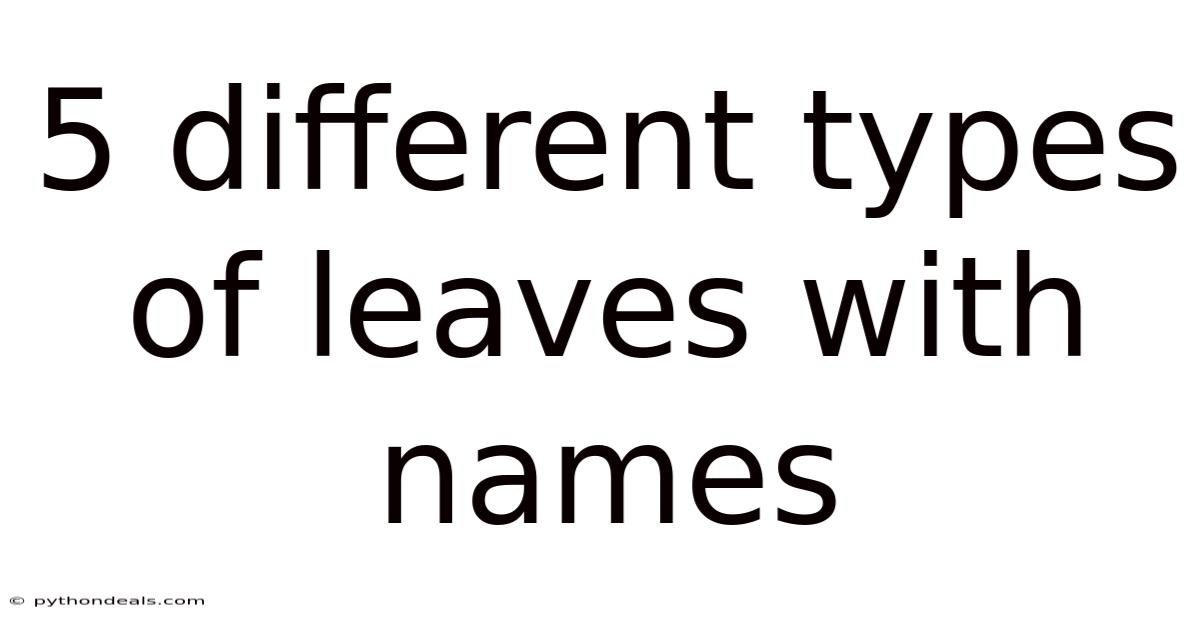 5 Different Types Of Leaves With Names