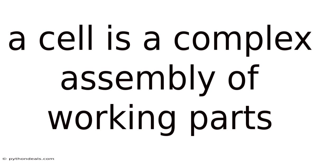 A Cell Is A Complex Assembly Of Working Parts