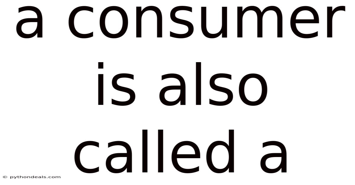 A Consumer Is Also Called A