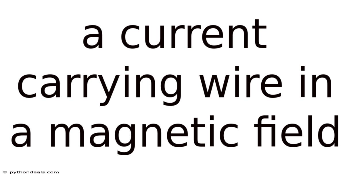 A Current Carrying Wire In A Magnetic Field