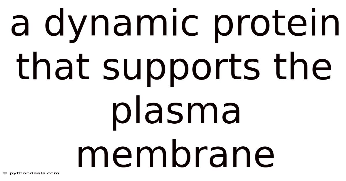 A Dynamic Protein That Supports The Plasma Membrane