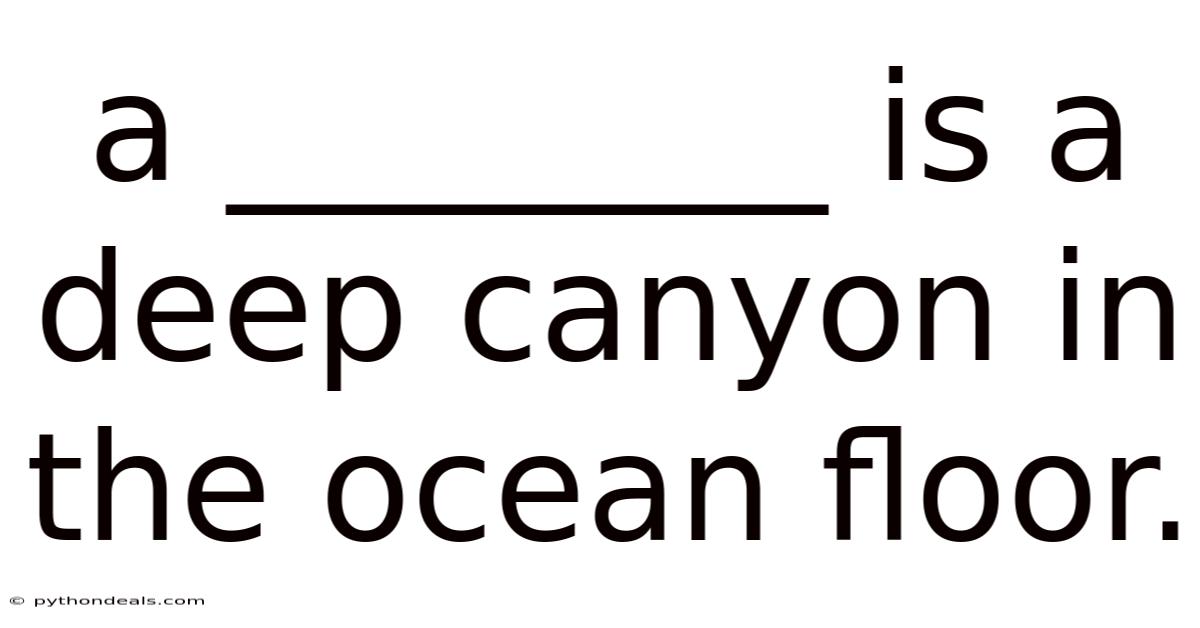 A ________ Is A Deep Canyon In The Ocean Floor.