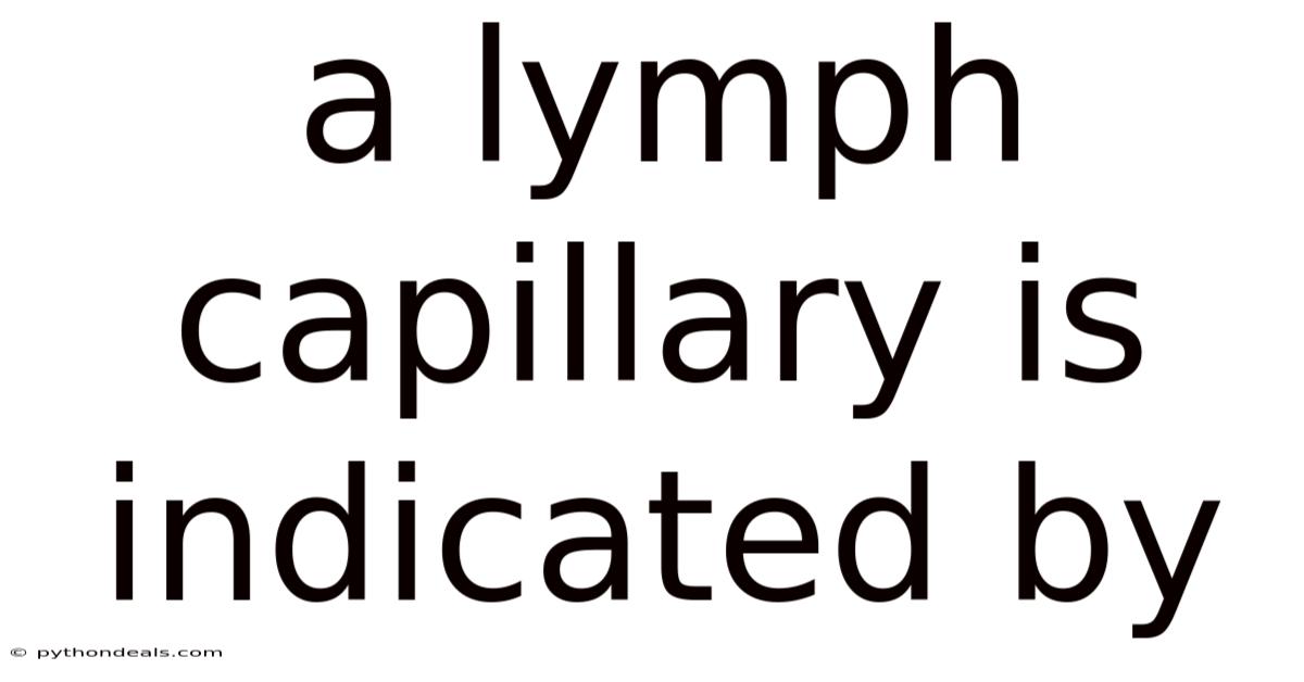 A Lymph Capillary Is Indicated By
