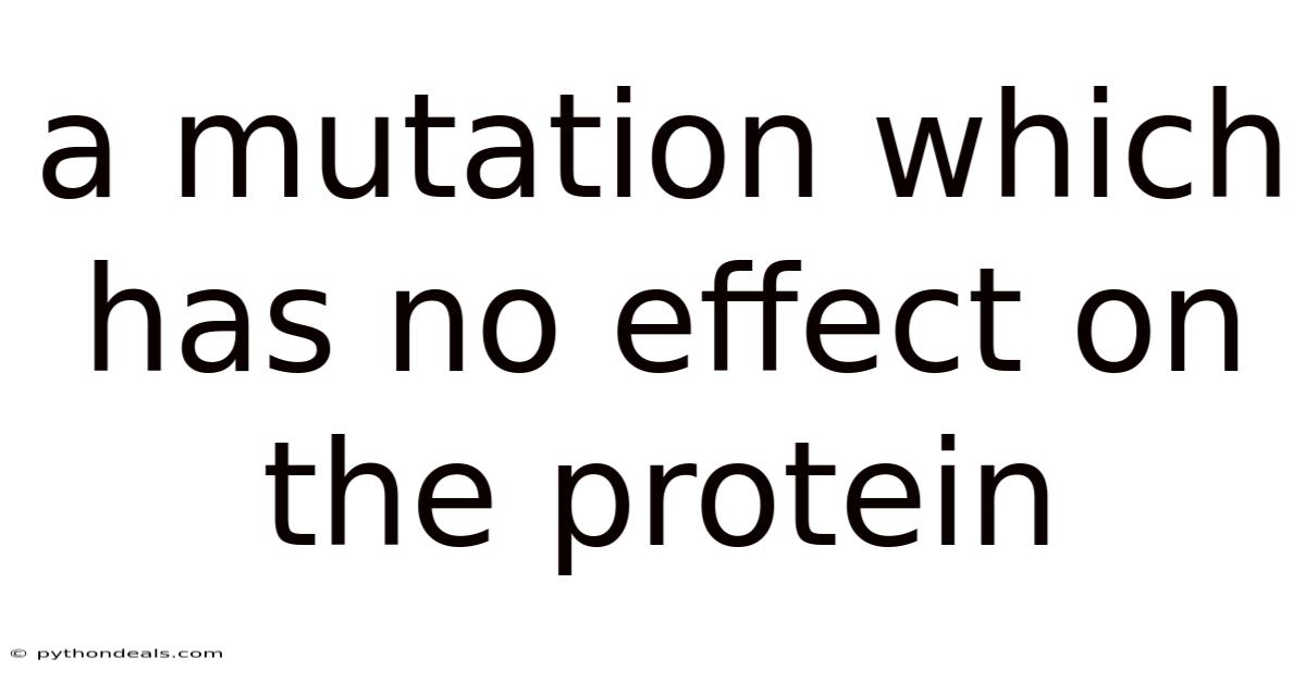 A Mutation Which Has No Effect On The Protein