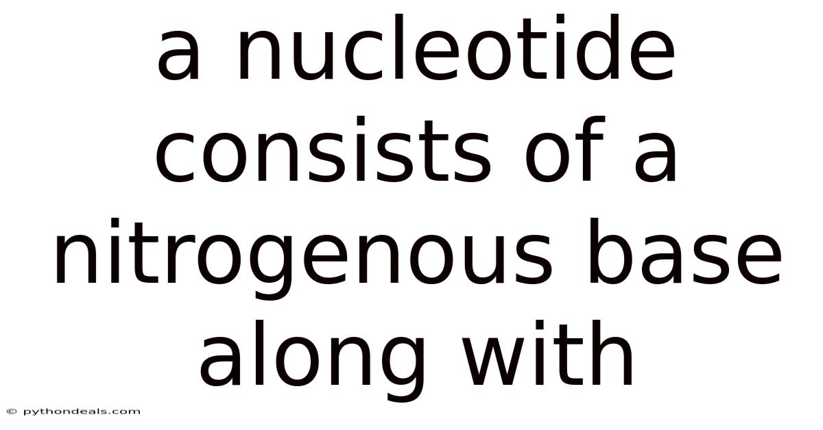 A Nucleotide Consists Of A Nitrogenous Base Along With