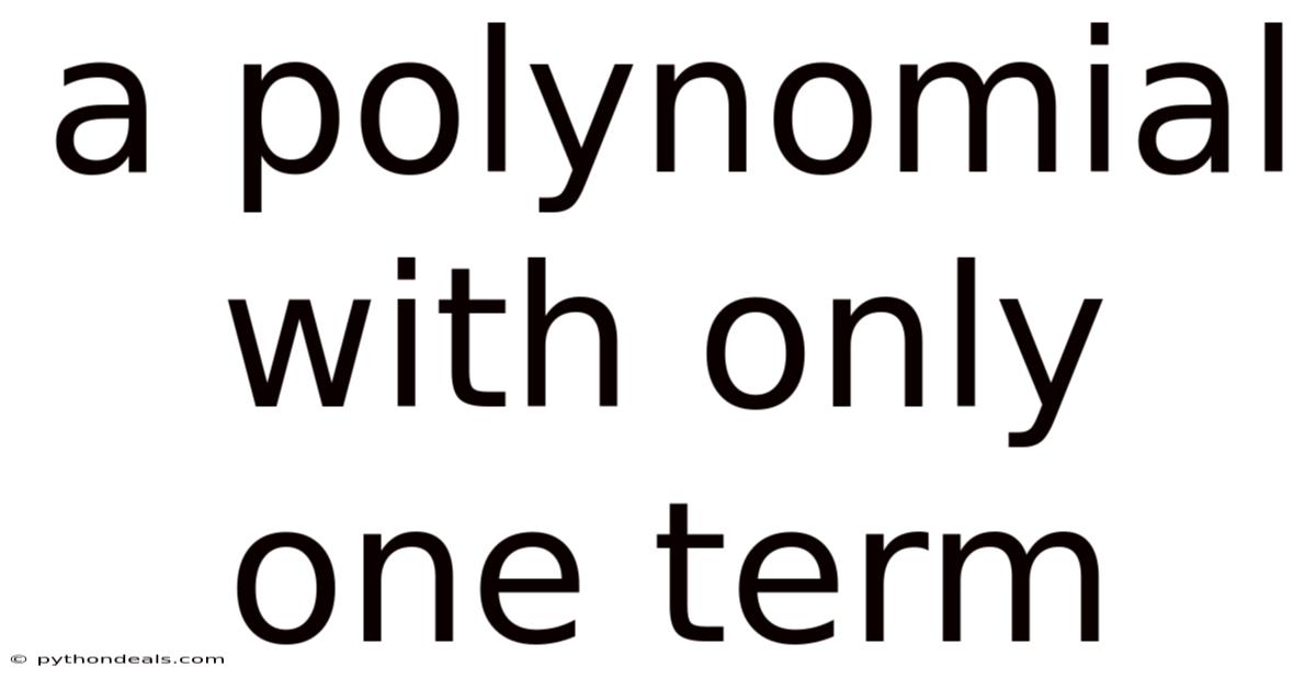 A Polynomial With Only One Term