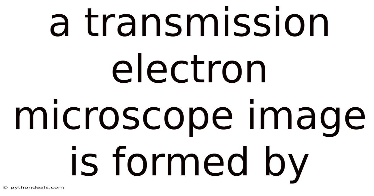 A Transmission Electron Microscope Image Is Formed By