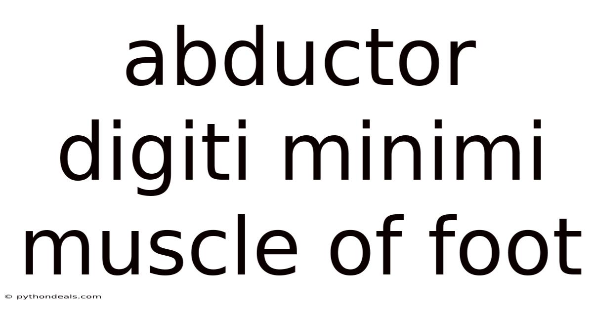 Abductor Digiti Minimi Muscle Of Foot