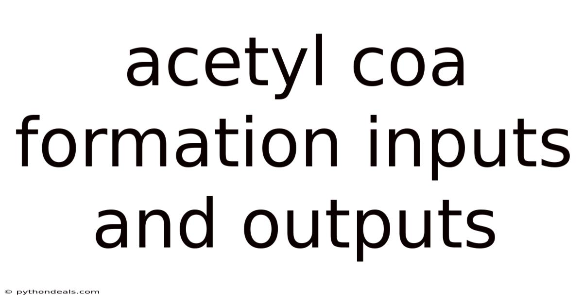 Acetyl Coa Formation Inputs And Outputs