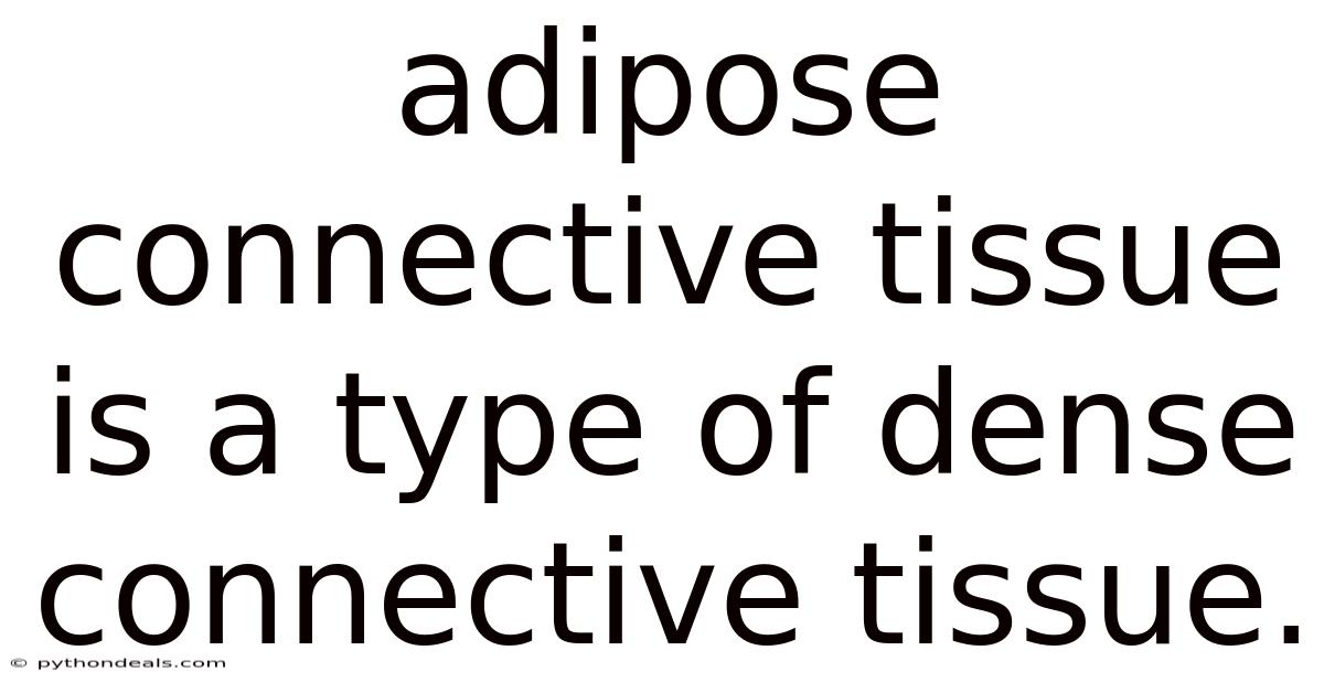 Adipose Connective Tissue Is A Type Of Dense Connective Tissue.