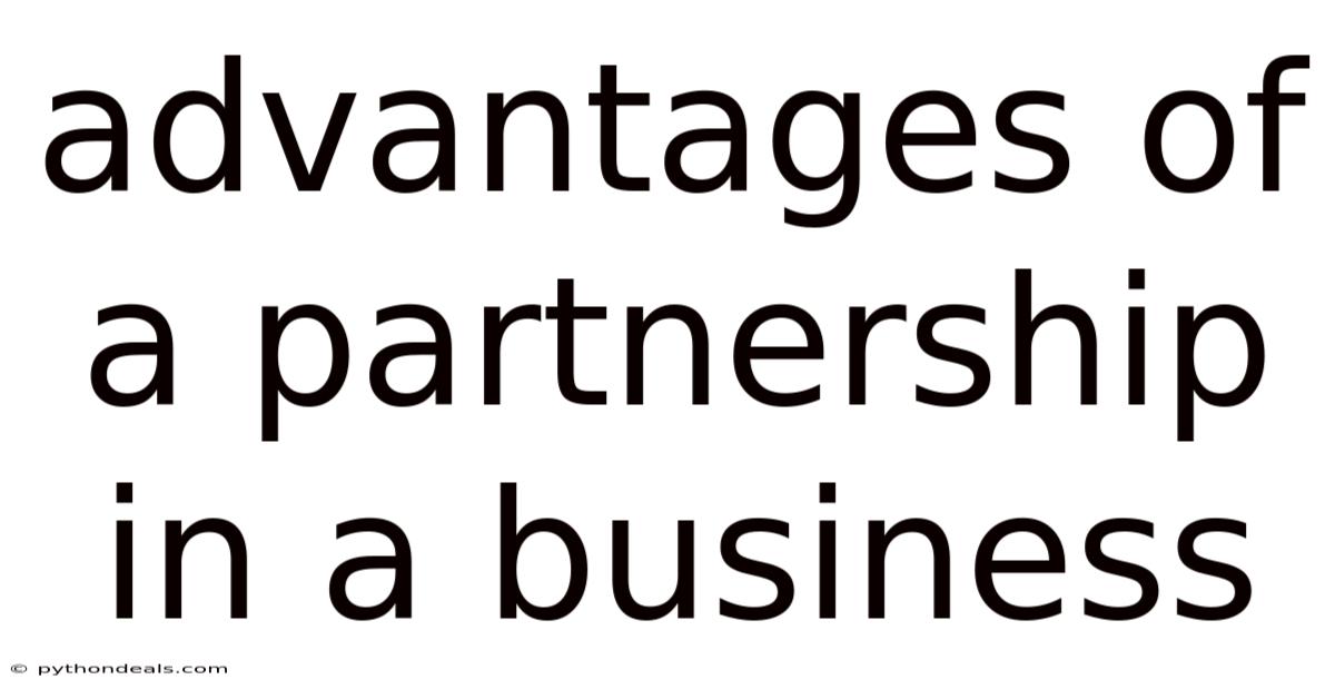 Advantages Of A Partnership In A Business