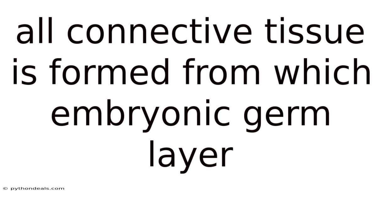 All Connective Tissue Is Formed From Which Embryonic Germ Layer
