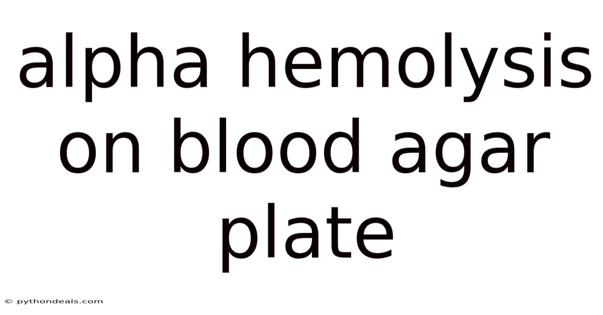 Alpha Hemolysis On Blood Agar Plate