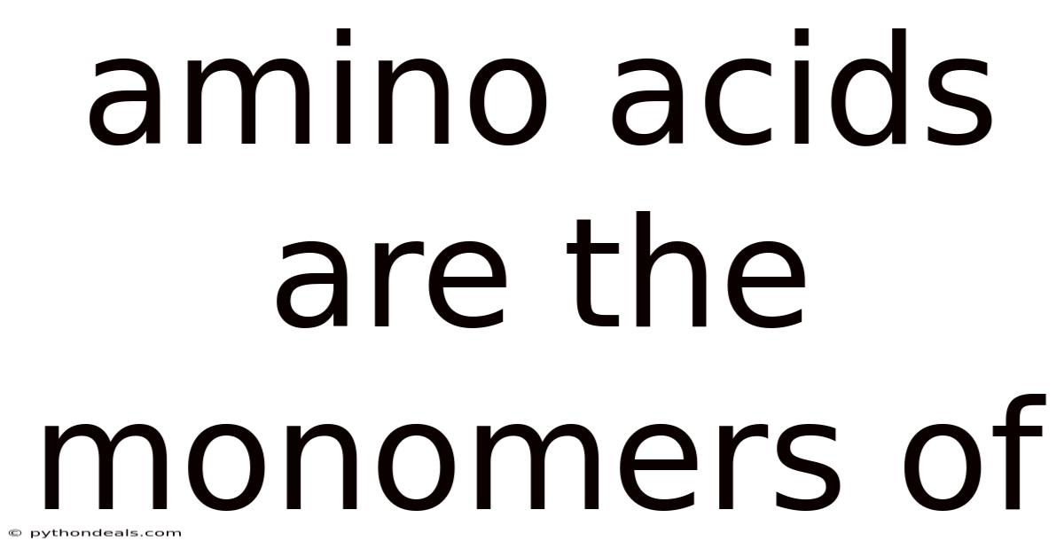 Amino Acids Are The Monomers Of