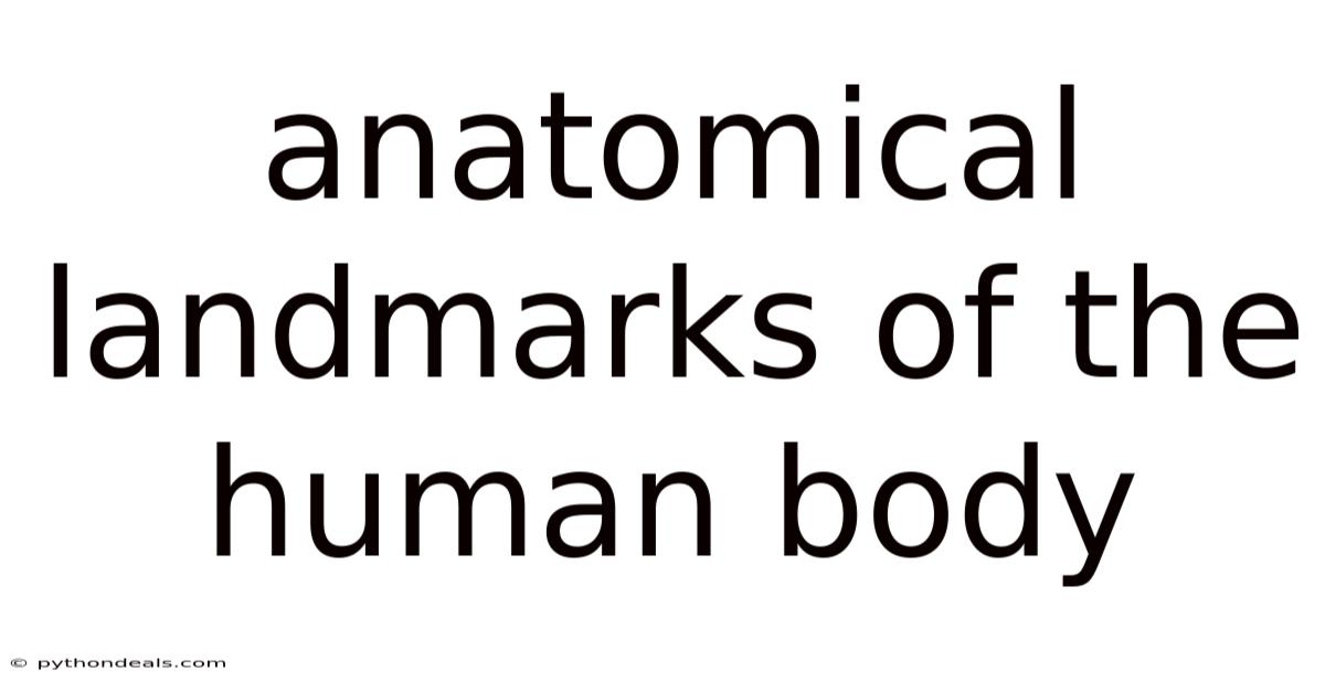 Anatomical Landmarks Of The Human Body