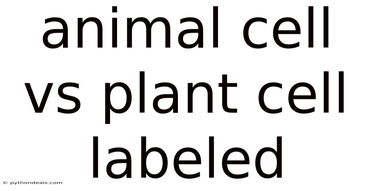 Animal Cell Vs Plant Cell Labeled