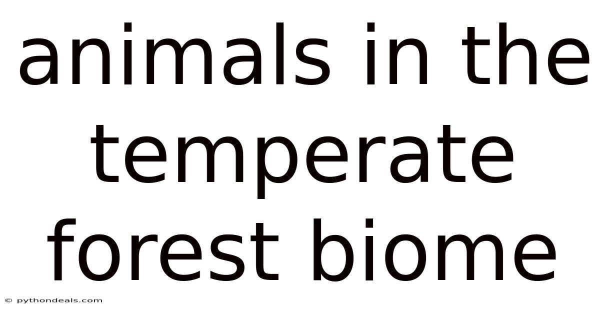 Animals In The Temperate Forest Biome