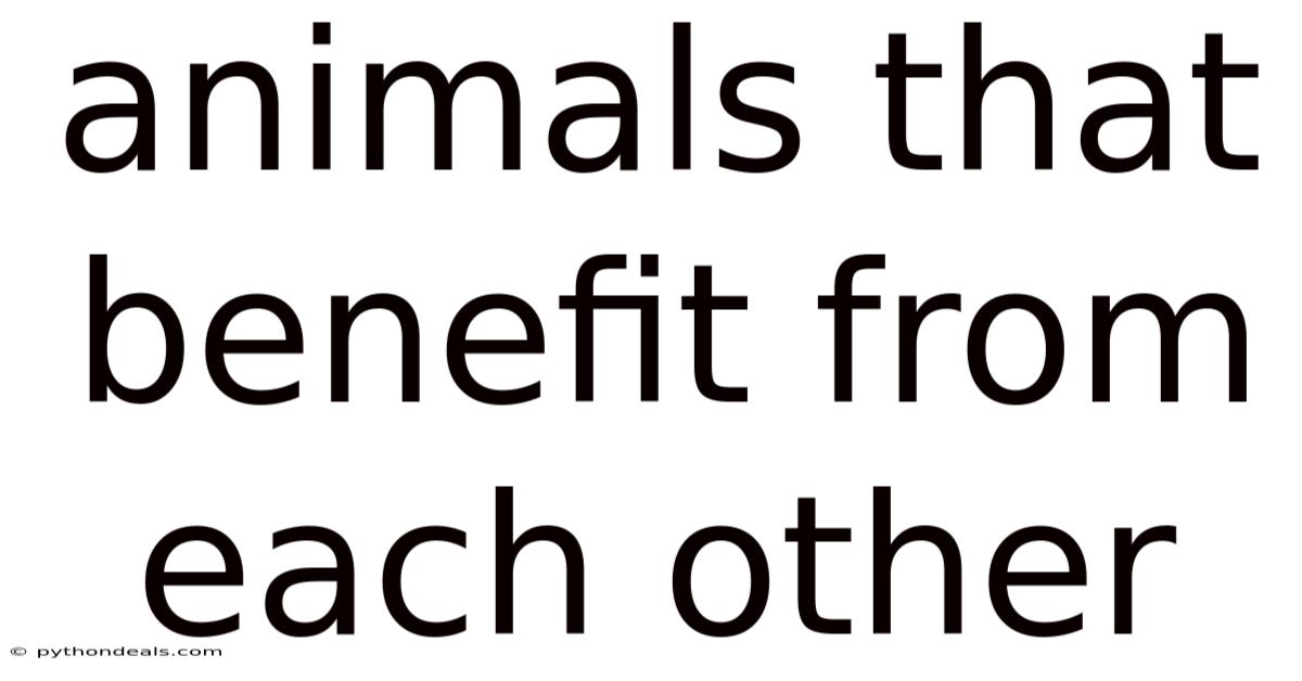 Animals That Benefit From Each Other