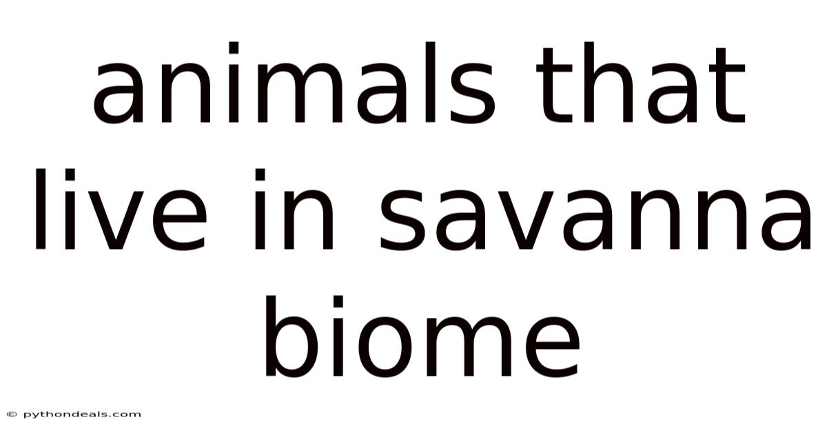 Animals That Live In Savanna Biome