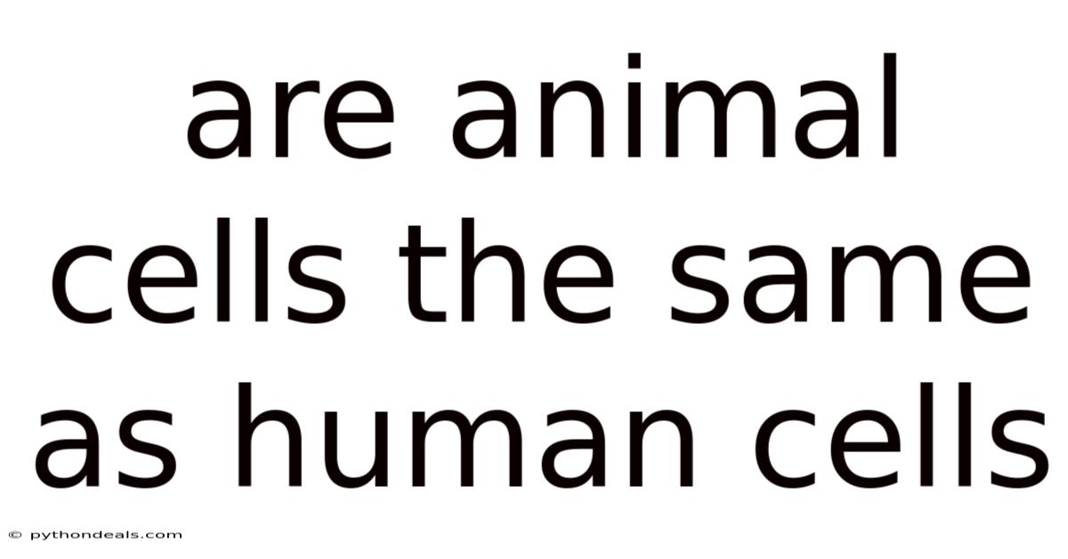 Are Animal Cells The Same As Human Cells