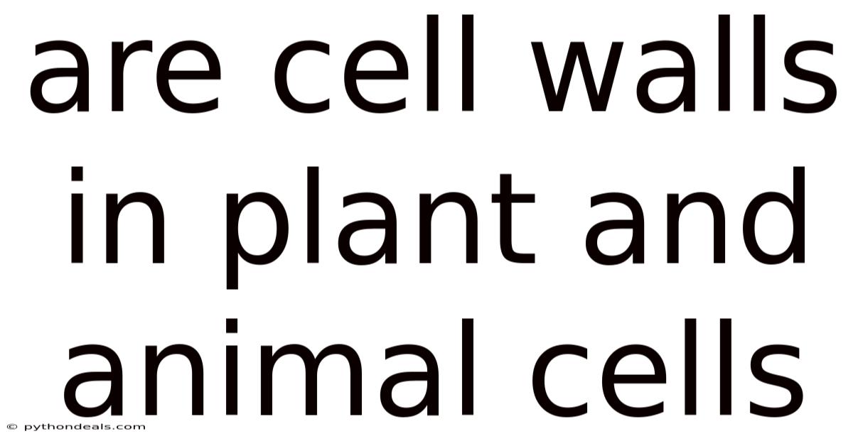 Are Cell Walls In Plant And Animal Cells