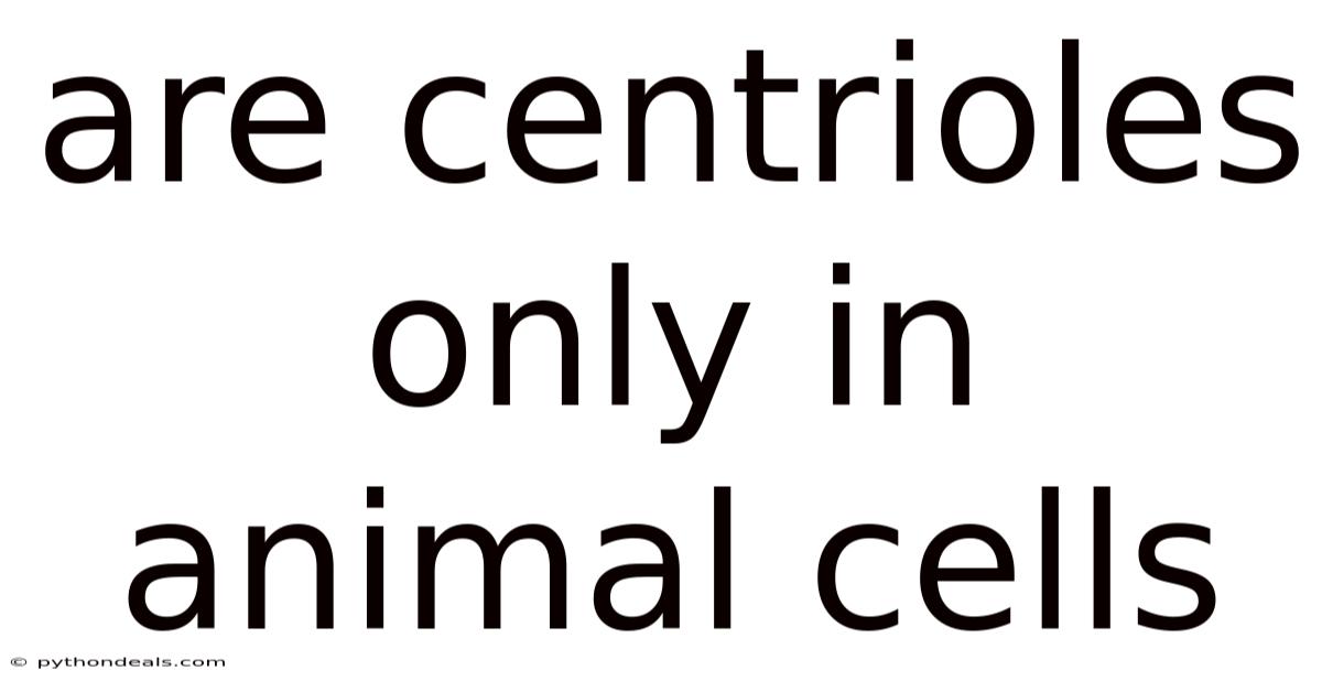 Are Centrioles Only In Animal Cells