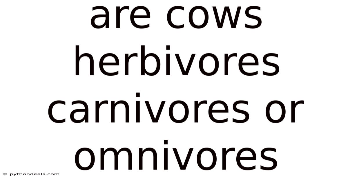 Are Cows Herbivores Carnivores Or Omnivores