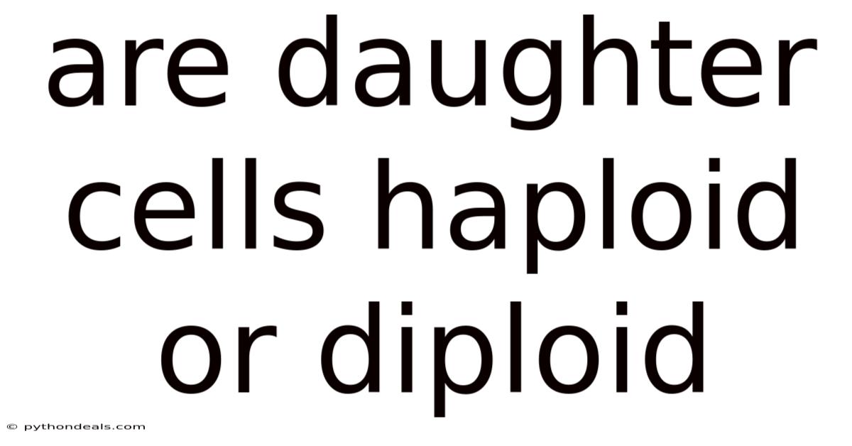 Are Daughter Cells Haploid Or Diploid