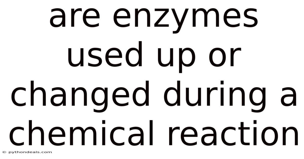 Are Enzymes Used Up Or Changed During A Chemical Reaction