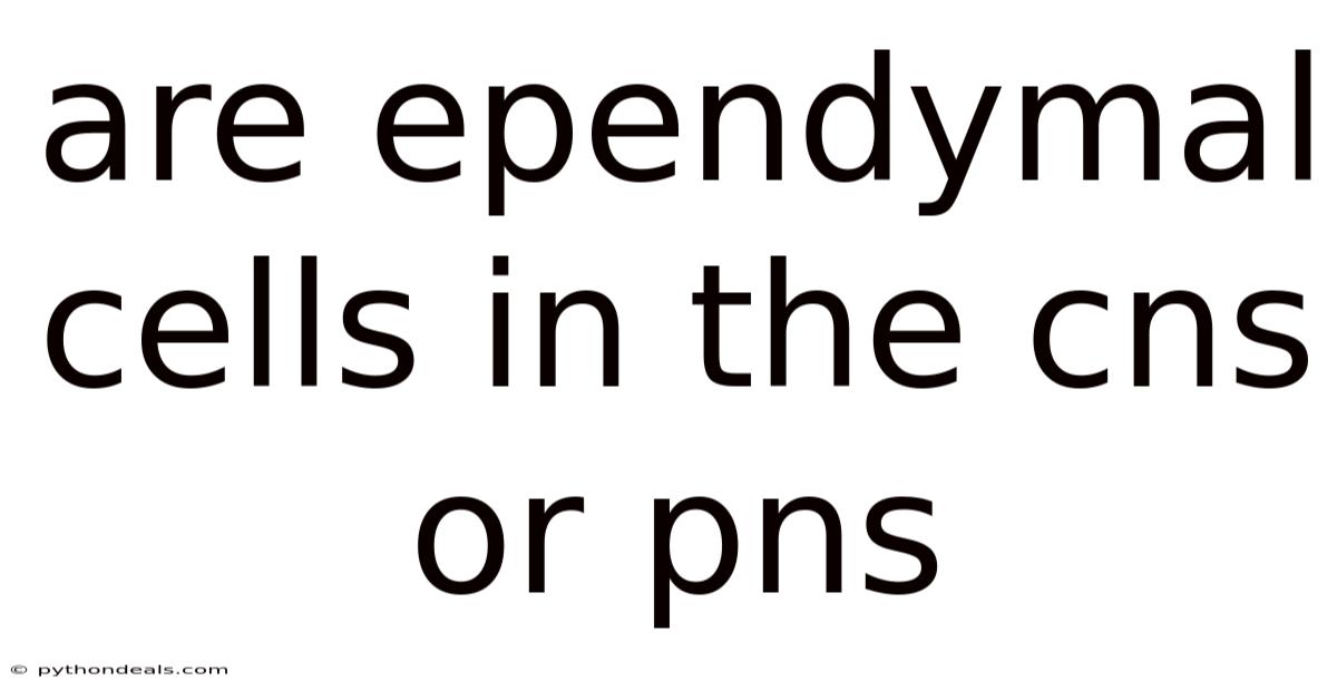 Are Ependymal Cells In The Cns Or Pns
