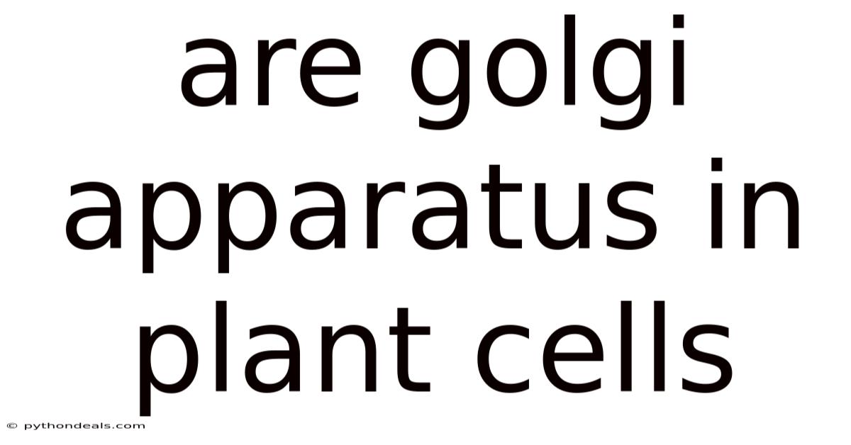 Are Golgi Apparatus In Plant Cells