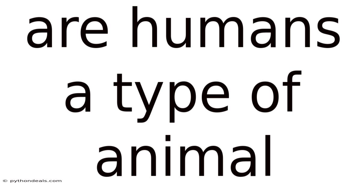 Are Humans A Type Of Animal