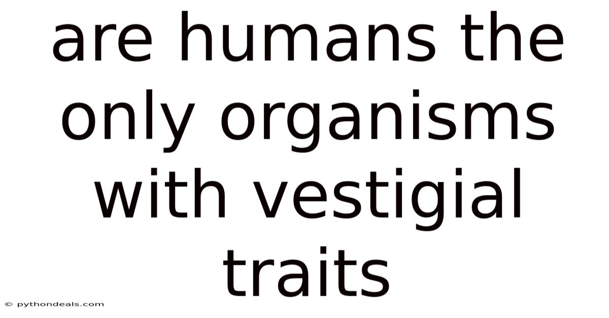 Are Humans The Only Organisms With Vestigial Traits