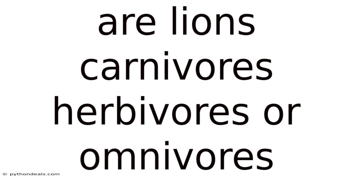 Are Lions Carnivores Herbivores Or Omnivores