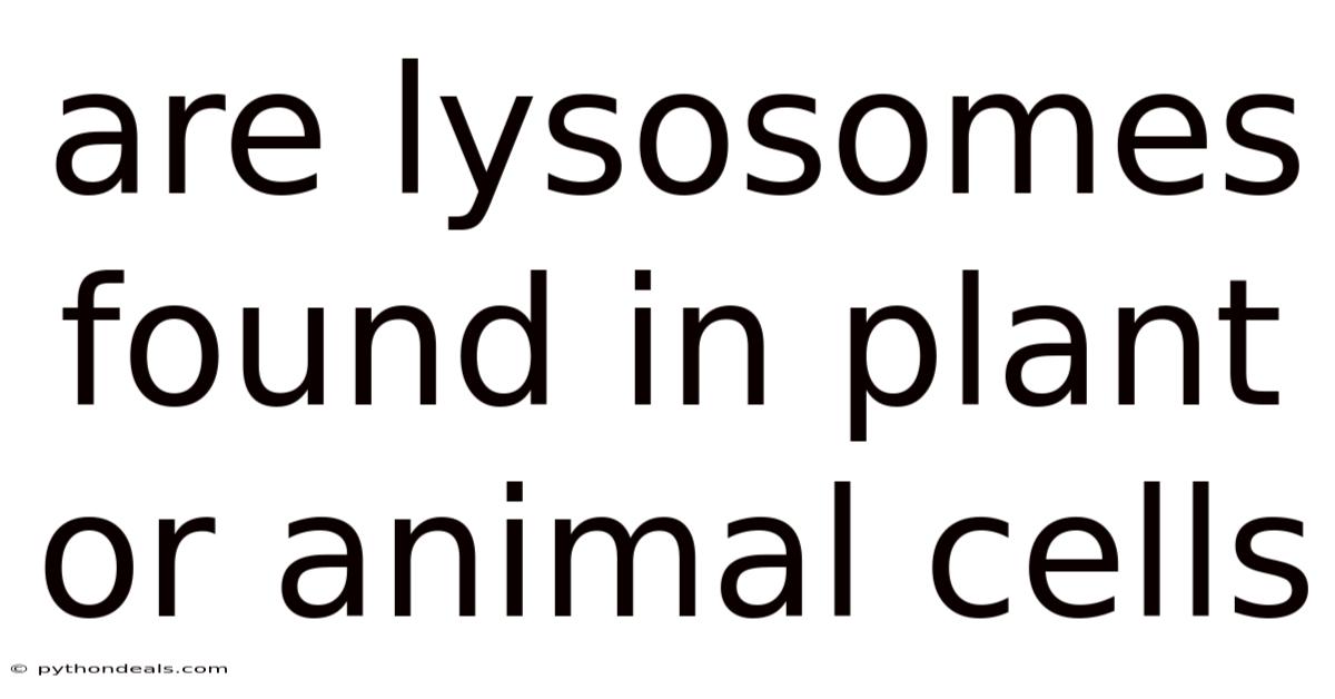 Are Lysosomes Found In Plant Or Animal Cells