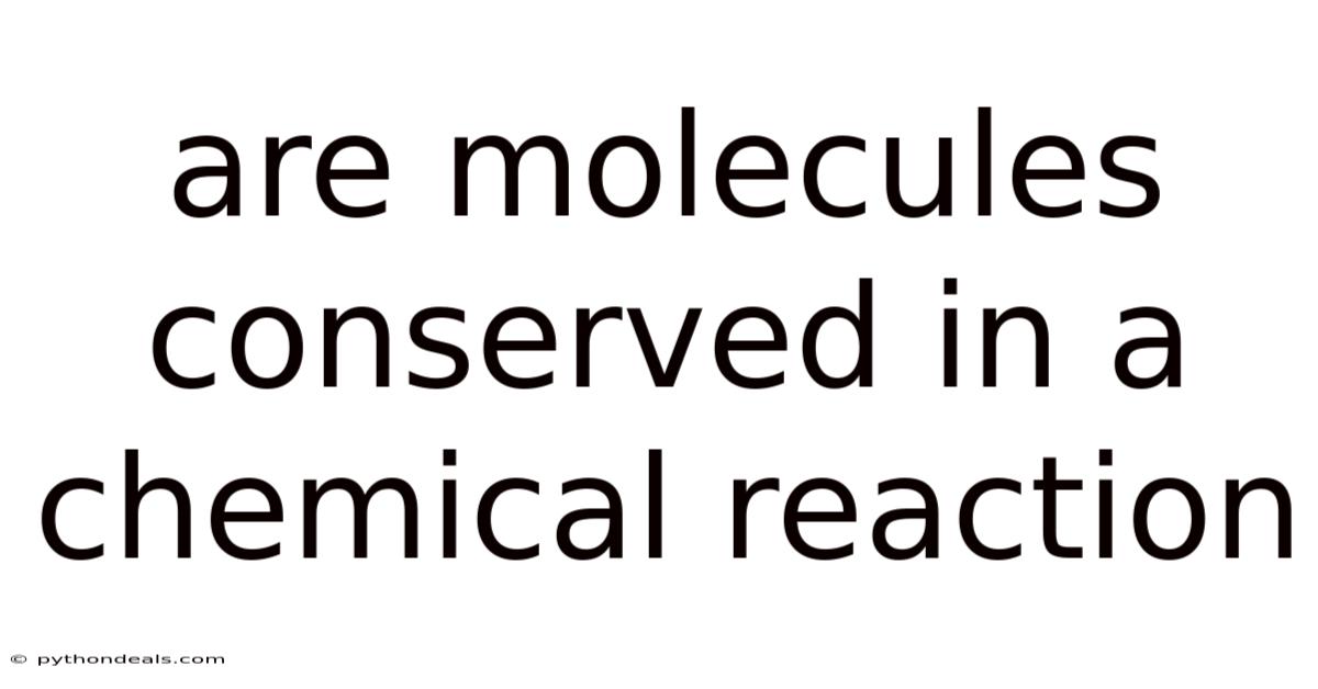Are Molecules Conserved In A Chemical Reaction