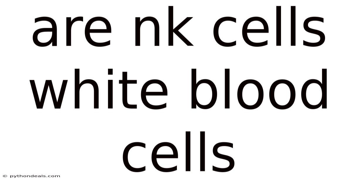 Are Nk Cells White Blood Cells