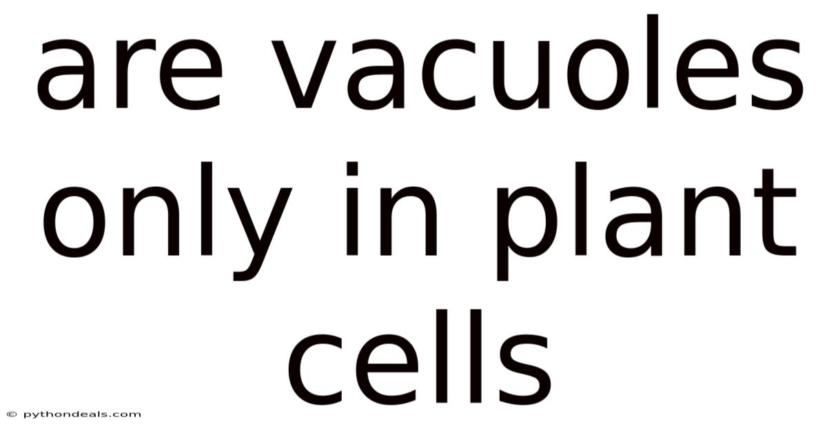 Are Vacuoles Only In Plant Cells