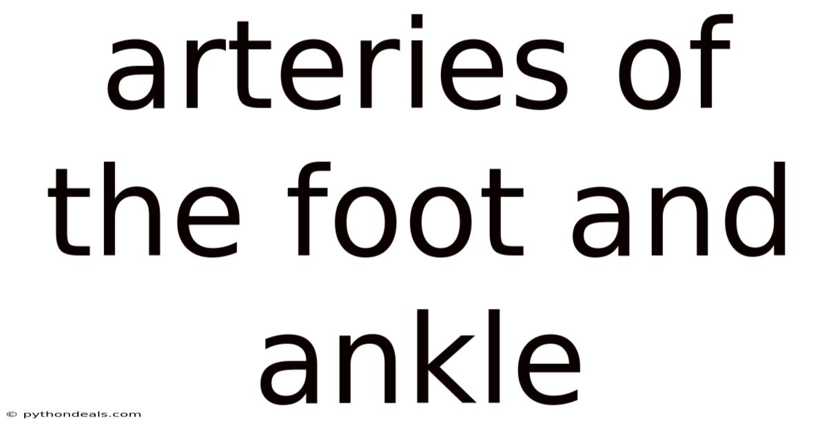 Arteries Of The Foot And Ankle