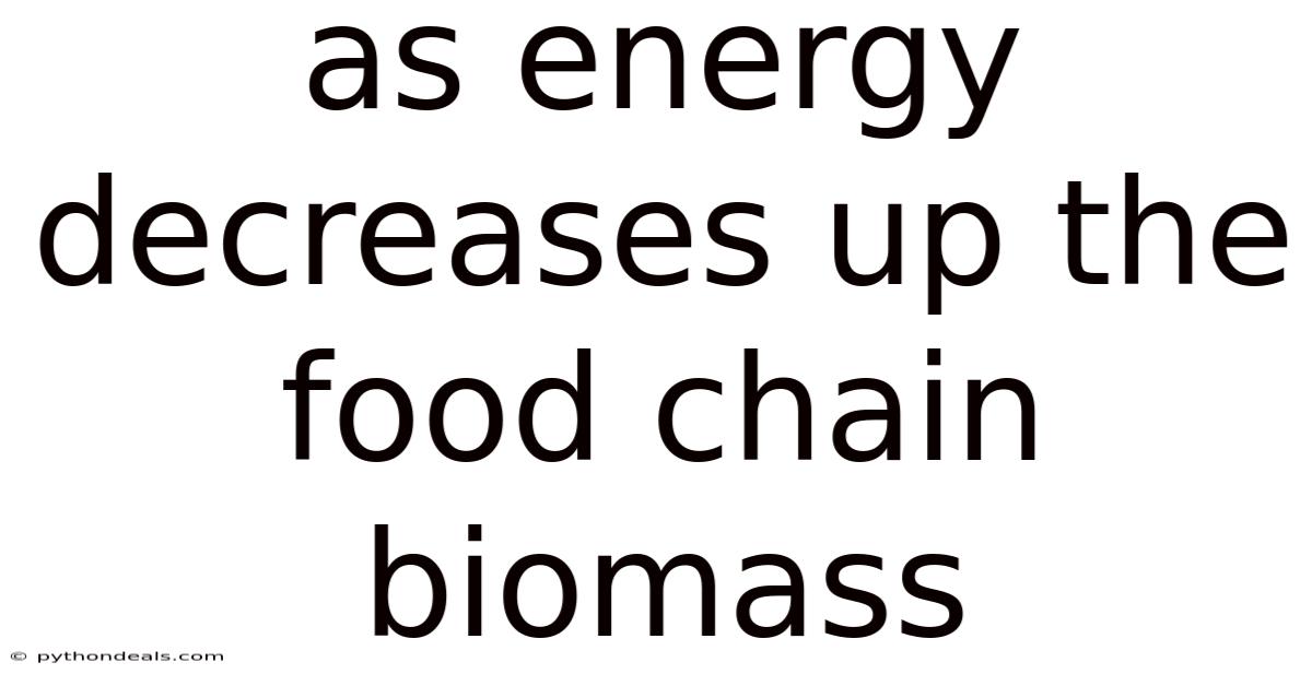 As Energy Decreases Up The Food Chain Biomass
