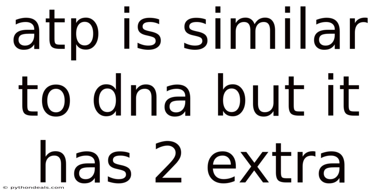 Atp Is Similar To Dna But It Has 2 Extra