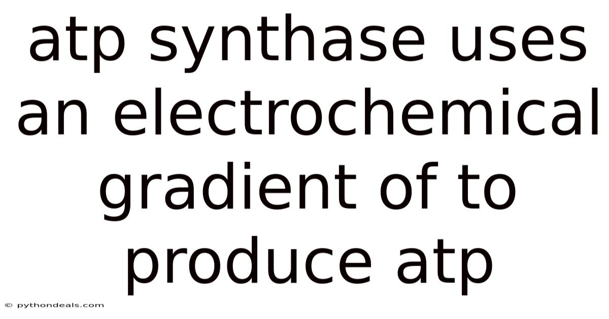 Atp Synthase Uses An Electrochemical Gradient Of To Produce Atp